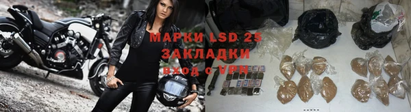 крисы Верея
