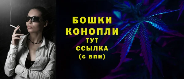 крисы Верея