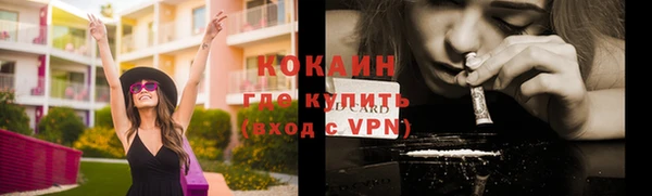 мдпв Волоколамск