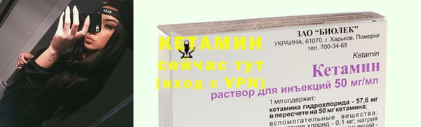 крисы Верея